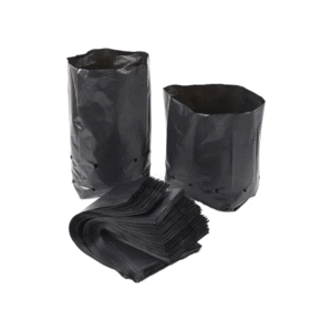Compostable Nursery Bags (Black, 35 Micron)